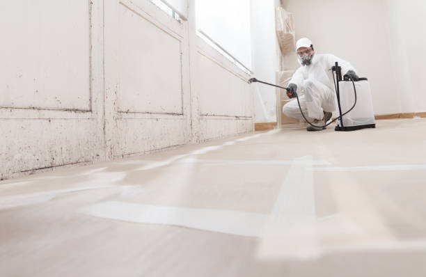 24/7 Emergency Mold Remediation experts in Langhorne, PA