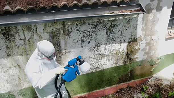 Top rated local Mold Remediation specialists in Langhorne, PA